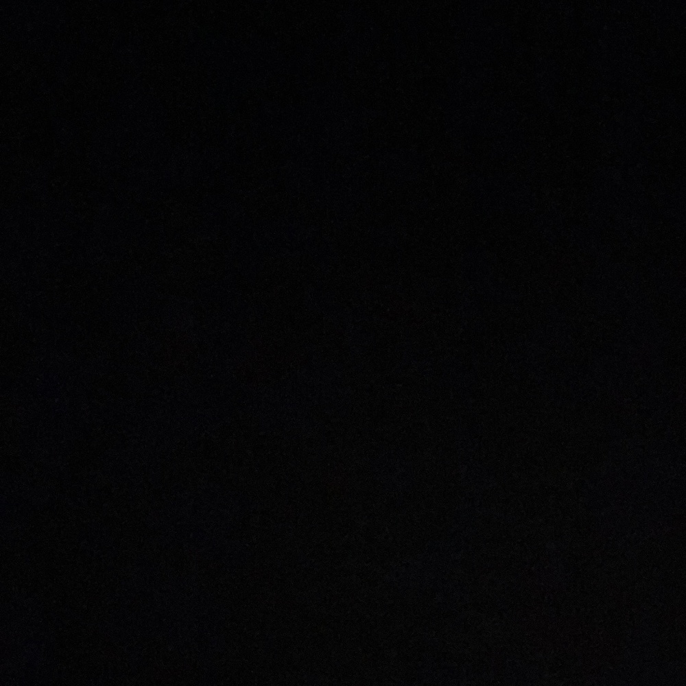 Meet your Posher, Maddie